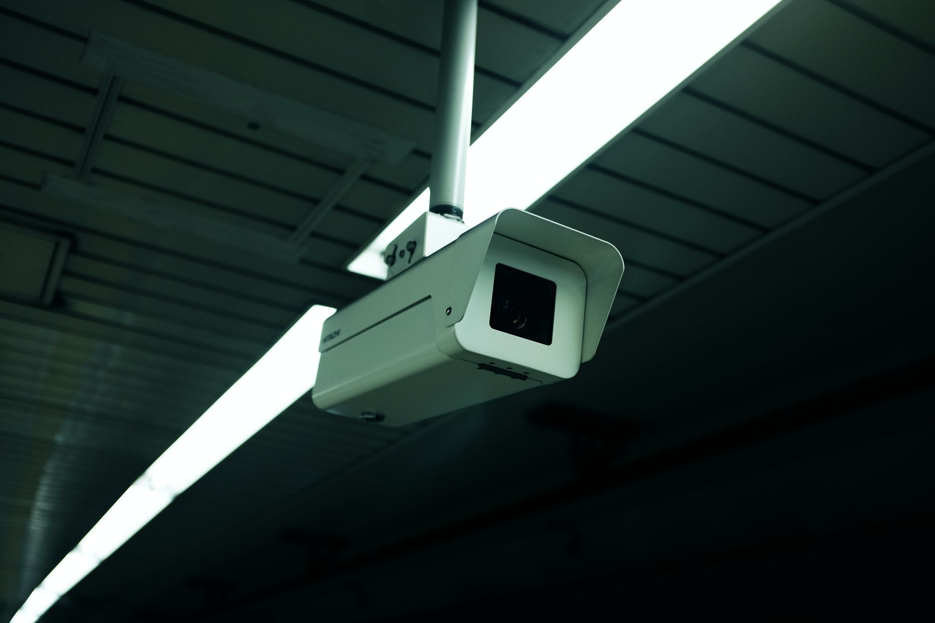 Cámara de videovigilancia instalada en el exterior rodeada de vegetación